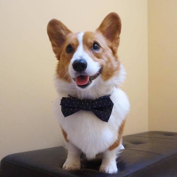 Meet your Posher, Doãn - Picture 1 of 1